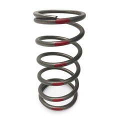 Evolution Powersports - Clutching - TAPP Primary Clutch Springs