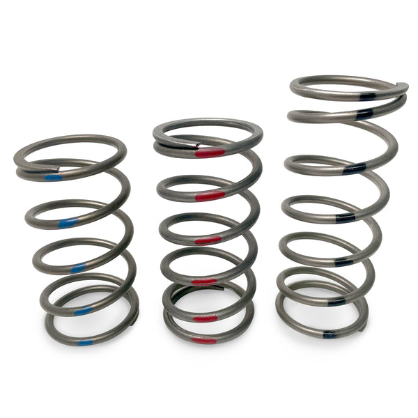 Evolution Powersports - Clutching - TAPP Primary Clutch Springs