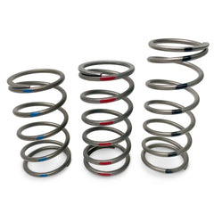 Evolution Powersports - Clutching - TAPP Primary Clutch Springs