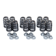 Evolution Powersports - Engine & Transmission - Valve Spring and Retainer Kit for Can-Am Maverick R